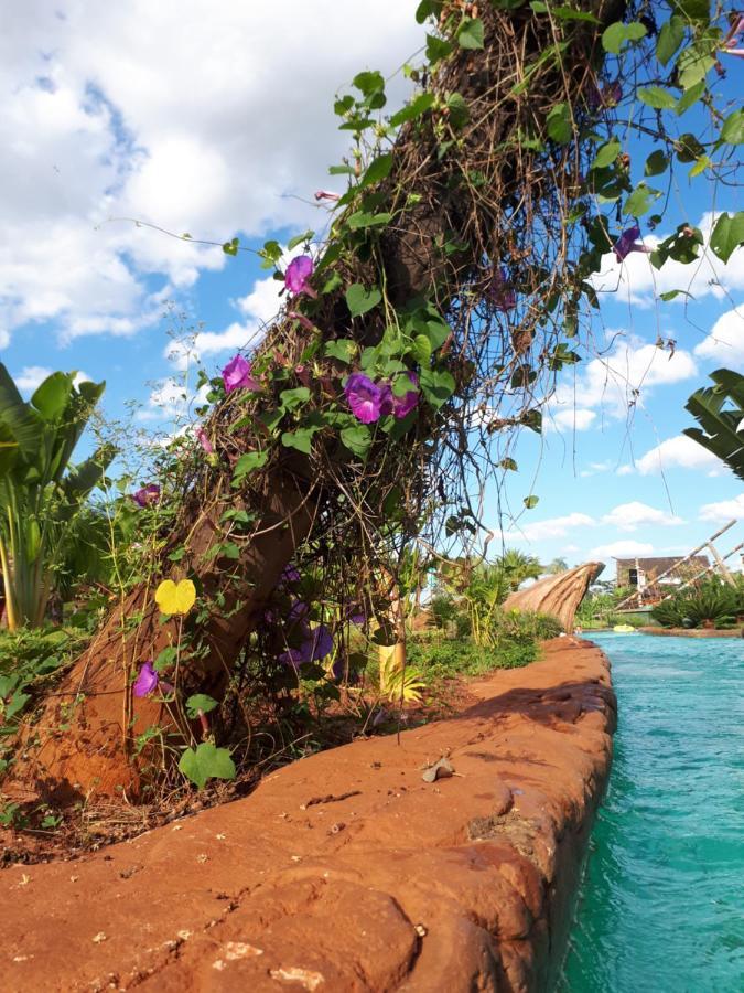 Divino Lugar Lägenhet Olímpia Exteriör bild